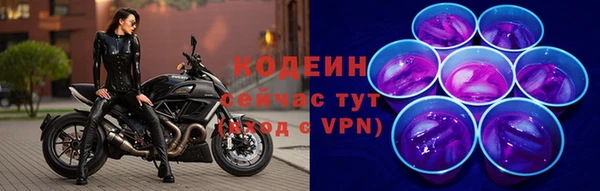 ПСИЛОЦИБИНОВЫЕ ГРИБЫ Верхний Тагил