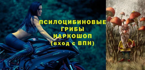 ПСИЛОЦИБИНОВЫЕ ГРИБЫ Верхний Тагил