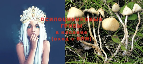 ПСИЛОЦИБИНОВЫЕ ГРИБЫ Верхний Тагил