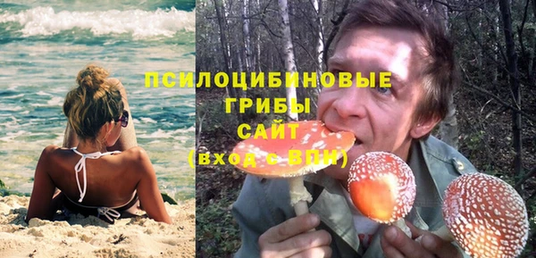 ПСИЛОЦИБИНОВЫЕ ГРИБЫ Верхний Тагил